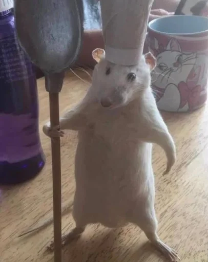 Стикер nemyaukai_by_TgEmodziBot - 1