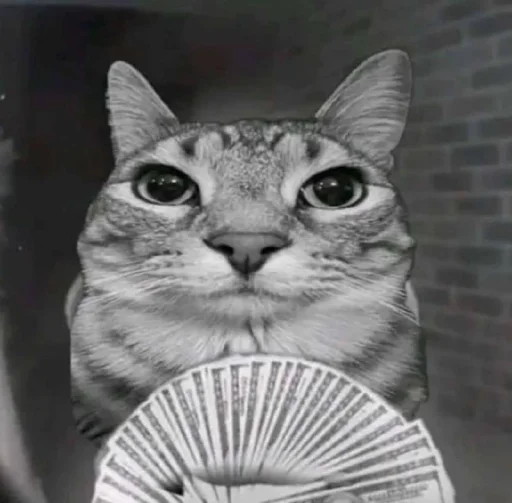 Sticker nemyaukai_by_TgEmodziBot - 1