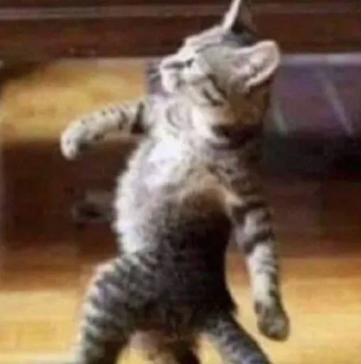 Sticker nemyaukai_by_TgEmodziBot - 1