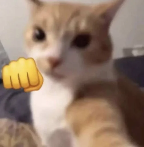 Sticker nemyaukai_by_TgEmodziBot - 1