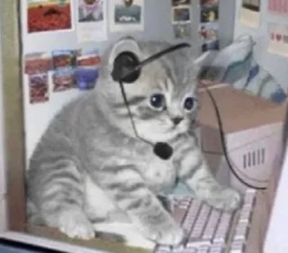 Стикер мяукаука @TgEmodziBot - 9