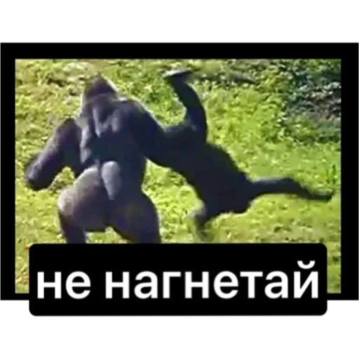 nenagnetai - скриншот