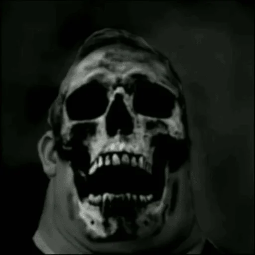 Sticker | | | N E X N | | | - 0