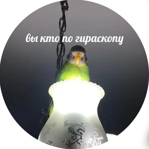 Sticker neonoteca_by_fStikBot - 1