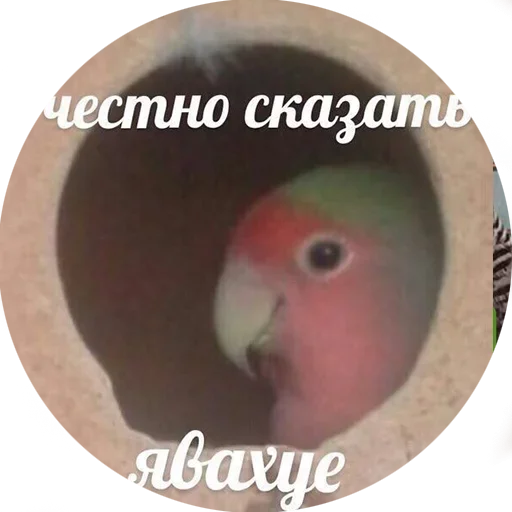 Sticker neonoteca_by_fStikBot - 1