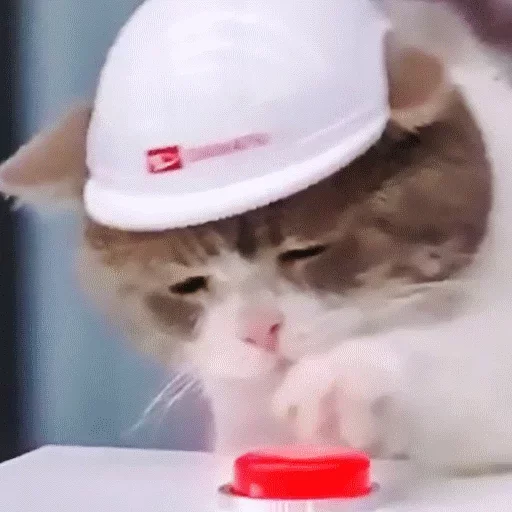 Sticker neonoteca by @fStikBot - 9