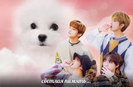 Sticker neosex :: @fStikBot - 4