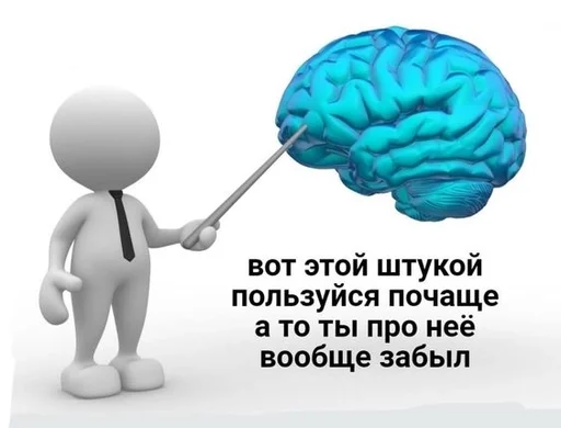 brain