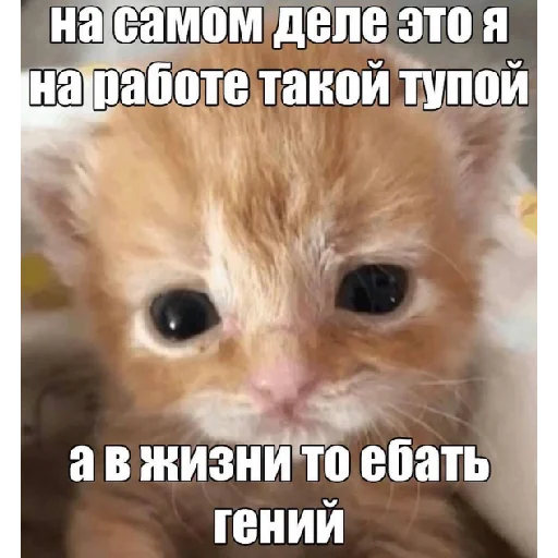 нереселлер пак - 