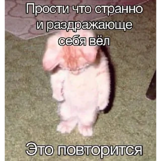 Sticker нереселлер пак - 9