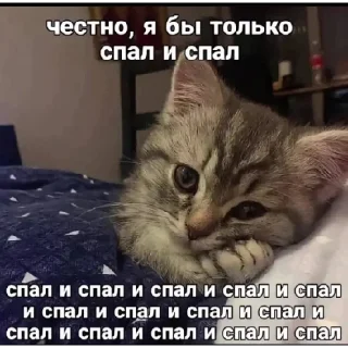 Sticker нереселлер пак - 3