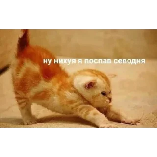 Sticker нереселлер пак - 8