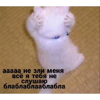 Sticker нереселлер пак - 6