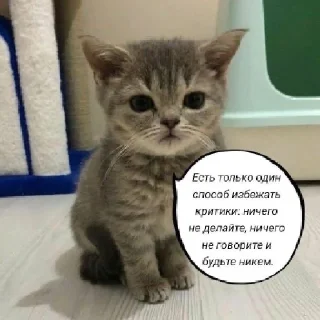 Sticker нереселлер пак - 1