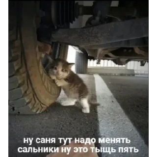 Sticker нереселлер пак - 5