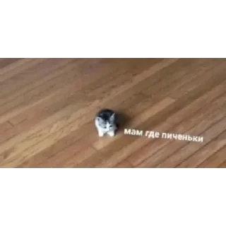 Sticker нереселлер пак - 7