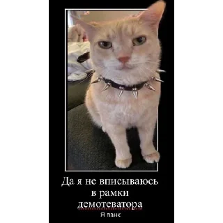 Sticker нереселлер пак - 2