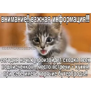 Sticker нереселлер пак - 0