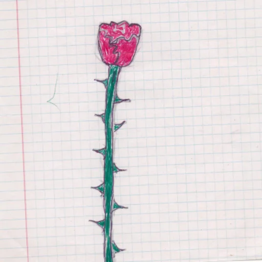 flower sketch drawing