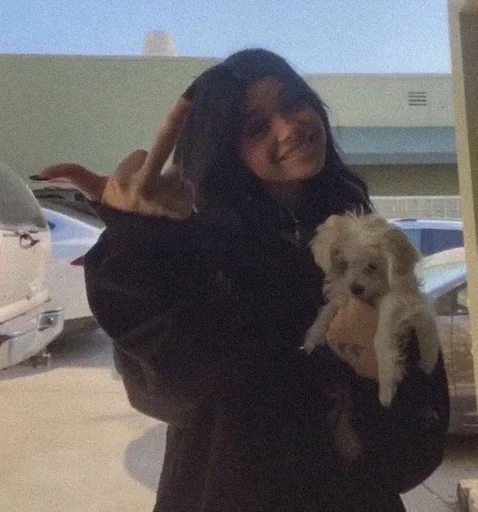 Человек комнатный животное