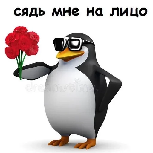 водная птица пингвин птица