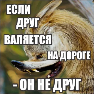 Стикер Волчьи стикеры @neural_wise_wolf - 7