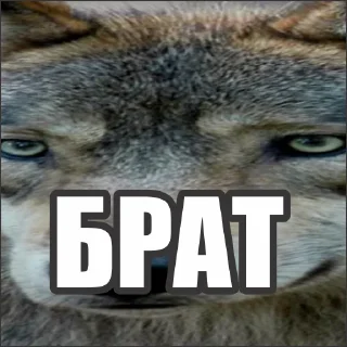 Стикер Волчьи стикеры @neural_wise_wolf - 6