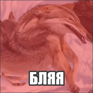 Стикер Волчьи стикеры @neural_wise_wolf - 3