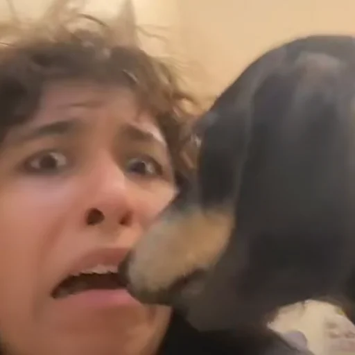 НеВарвара ? | inst : @inurl_ - Человек