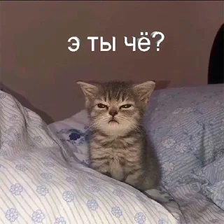 Sticker Nevermore - 6