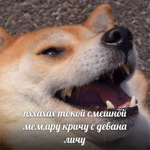 Стикерпак Ярика - человеческое лицо