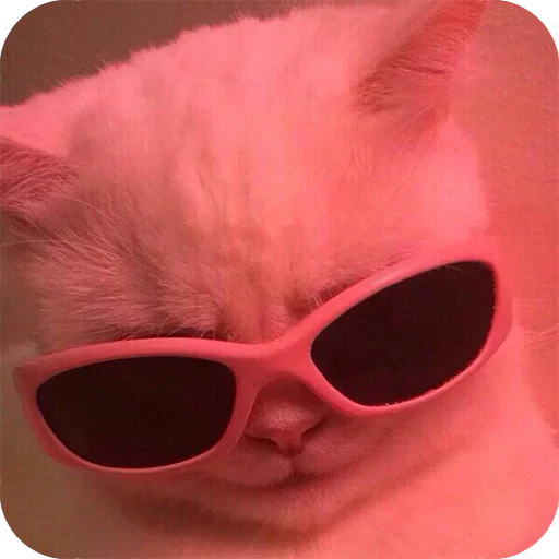 Bad Cats @stickerus - животное