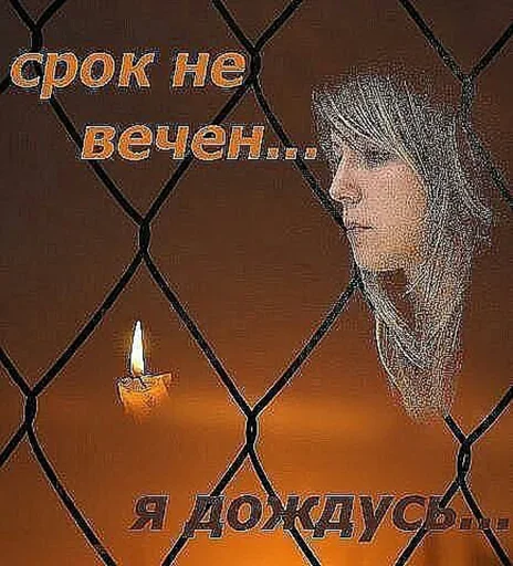 СМС забор проволочное ограждение