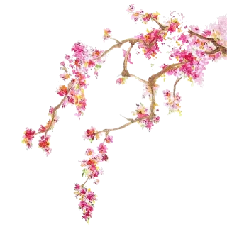 Sticker New heart - 11