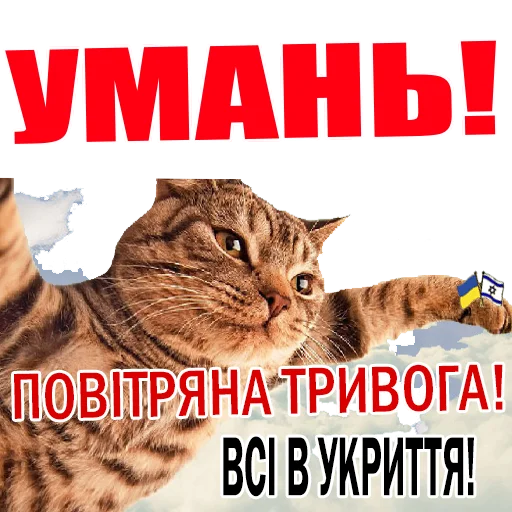 СМС животное млекопитающее