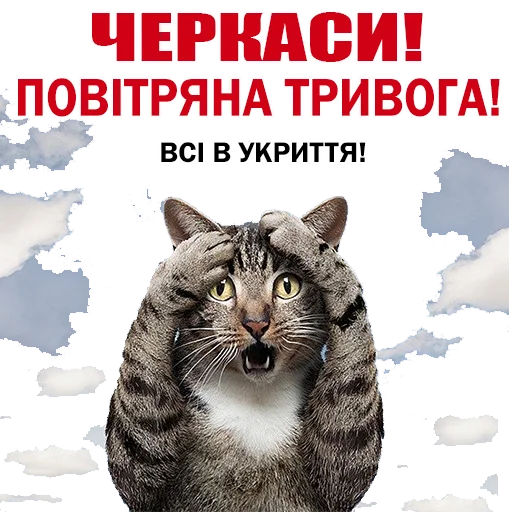 СМС млекопитающее животное