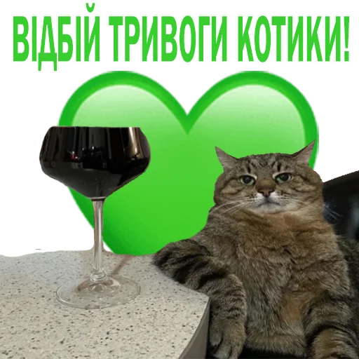 кошки малого и среднего размера кошачьи усы