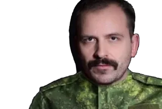 Sticker ДЗНС пак - 1