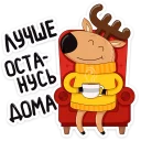 Стикер Птичка (@TgSticker) - 10