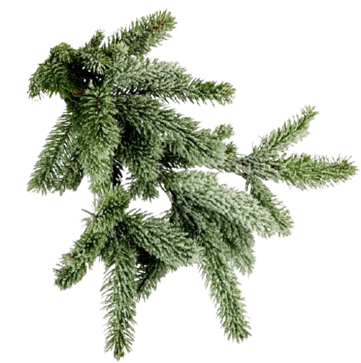 new year/@djassssss - 