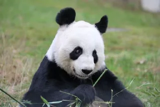 Sticker Больше стиков тут: @gostikers - 5