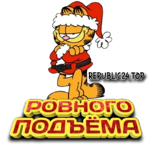 Sticker НГ ДНР 2024 - 3