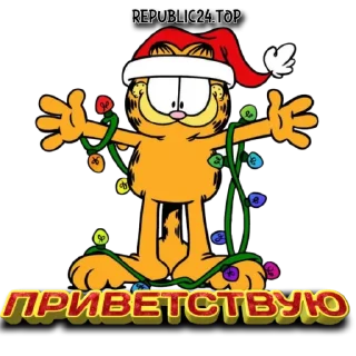 Sticker НГ ДНР 2024 - 0