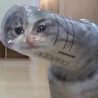 Стикер kucing by yana - 4