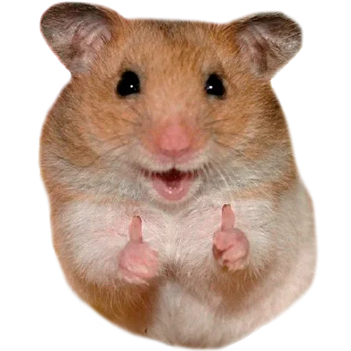 Sticker nhAfRCt_by_achestickbot - 1