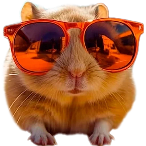 Sticker nhAfRCt_by_achestickbot - 1