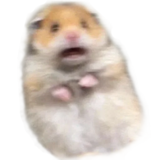 Больше стиков тут: @stikery4 - 