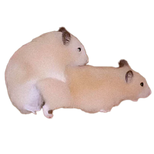 Стикер nhAfRCt_by_achestickbot - 1