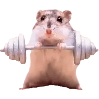 Sticker Больше стиков тут: @stikery4 - 7