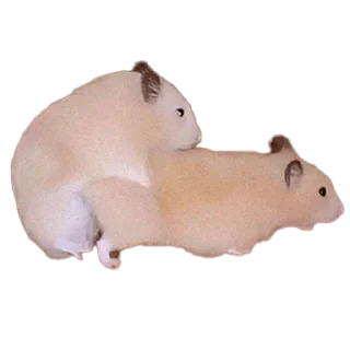 Sticker Больше стиков тут: @stikery4 - 5